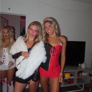 Queen Of Hearts Costume